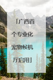 广西首个专业化宠物候机厅启用